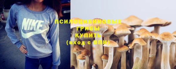 молекула духа Балабаново